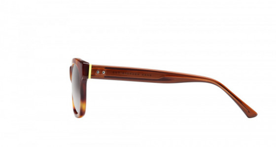 Christopher Kane CK0004S Sunglasses, AVANA with BROWN temples and BROWN lenses