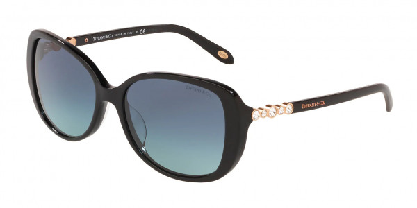 Tiffany & Co. TF4121BF Sunglasses