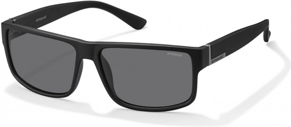 Polaroid Core PLD 2030/S Sunglasses, 0DL5 Matte Black
