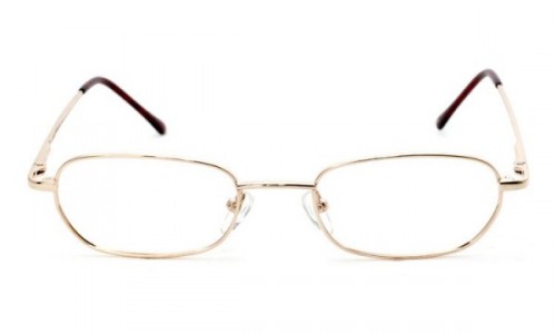 Nutmeg NM60 Eyeglasses, Gold