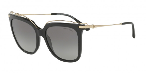 Giorgio Armani AR8091 Sunglasses, 501711 BLACK (BLACK)