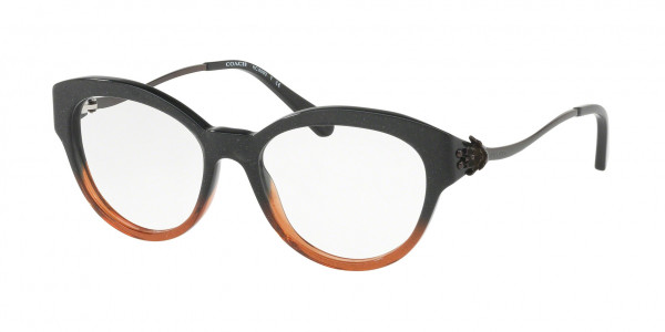 Coach HC6093 Eyeglasses, 5490 BLACK AMBER GLITTER GRADIENT (BLACK)