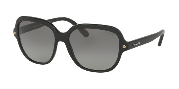 Coach HC8192F Sunglasses, 542011 BLACK/BLACK GUNMETAL SIG C (BLACK)