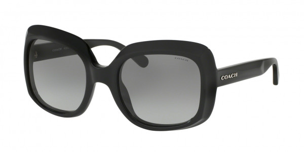 Coach HC8194F Sunglasses, 500211 BLACK (BLACK)