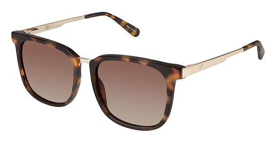 Sperry Top-Sider Newburyport Sunglasses, C02 Tortoise / Gold (Dark Brown Gradient)