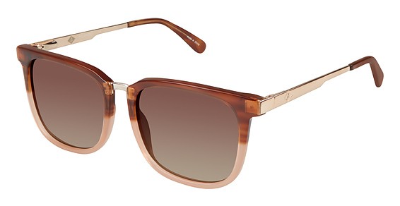 Sperry Top-Sider Newburyport Sunglasses, C03 Brown/Rose Gold (Dark Brown Gradient)