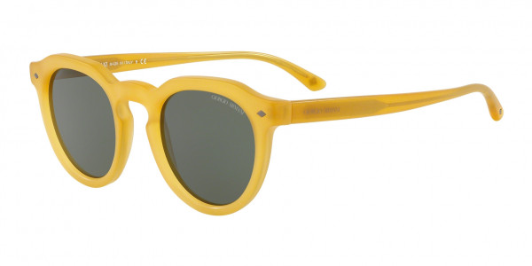 Giorgio Armani AR8093 Sunglasses