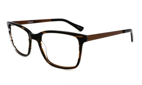 Toscani T2084 Eyeglasses, Demi Amber