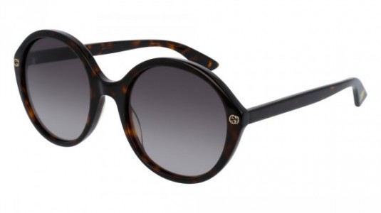 Gucci GG0023S Sunglasses, 002 - HAVANA with BROWN lenses