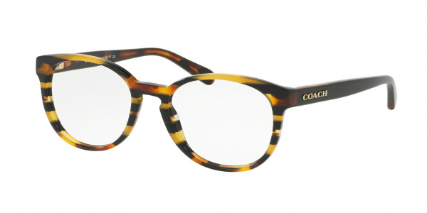 Coach HC6102 Eyeglasses, 5440 BLACK AMBER GLITTER STRIPES (BLACK)