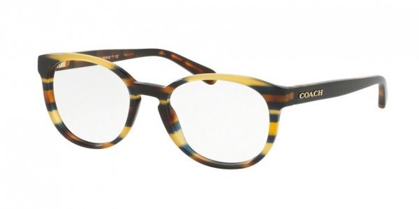 Coach HC6102 Eyeglasses, 5441 BLUE HONEY GLTR VARSITY STRIPE (MULTI)