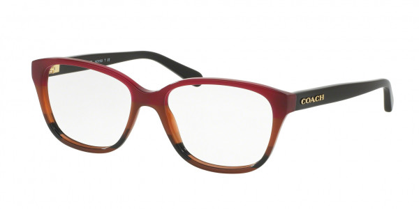 Coach HC6103 Eyeglasses, 5445 AUBGN COGNAC VARSITY STRIPE (MULTI)