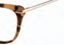 Brendel 924017 Eyeglasses, Tortoise (TOR)