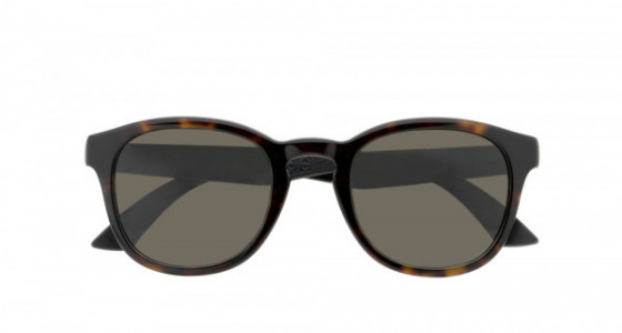 Puma PU0042S Sunglasses, AVANA with BROWN temples and GREEN lenses