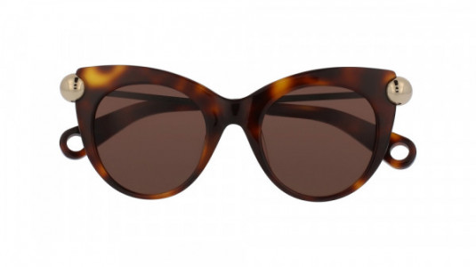 Christopher Kane CK0012S Sunglasses, 002 - HAVANA with BLACK temples and BROWN lenses