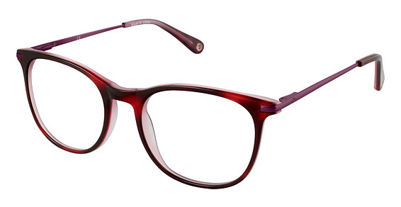 Sperry Top-Sider CRESCENT Eyeglasses, C02 Drk Purple Horn
