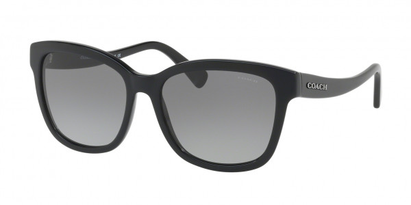 Coach HC8219 L1656 Sunglasses