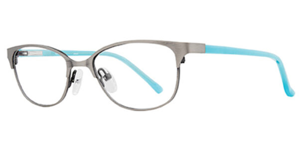 Stylewise SW524 Eyeglasses, Blue-Brown