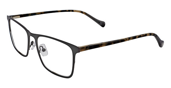 Lucky Brand D308 Eyeglasses, Grey