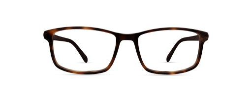 Modo 6529 Eyeglasses, TORT