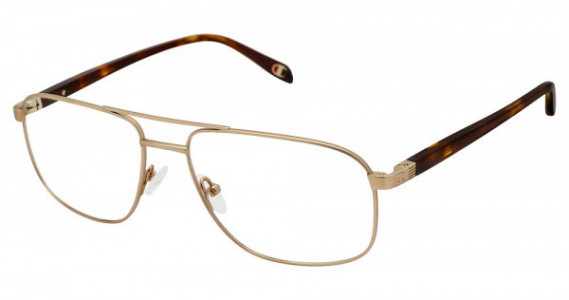 Champion 4019 Eyeglasses, C03 GOLD