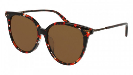 Bottega Veneta BV0103SA Sunglasses, HAVANA with BRONZE temples and BROWN polarized lenses