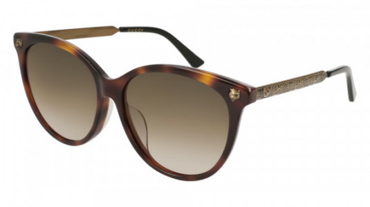 Gucci GG0223SK Sunglasses, HAVANA with GOLD temples and BROWN lenses
