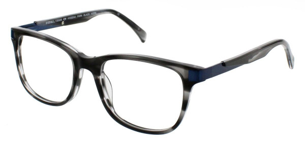 ClearVision KISSENA PARK Eyeglasses, Black Horn