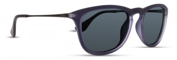 INVU INVU-103 Sunglasses, 3 - Purple