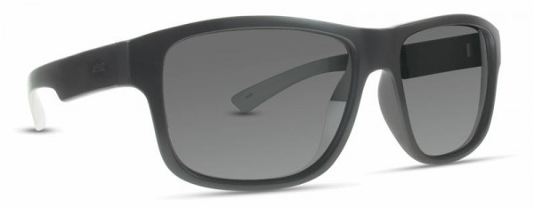 INVU INVU-125 Sunglasses, 2 - Metallic Gray / Crystal