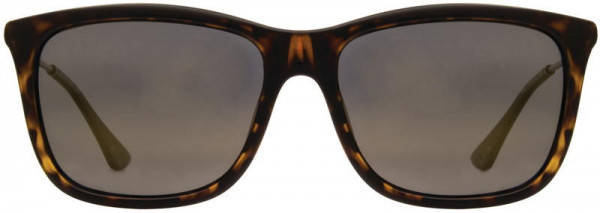 INVU INVU-145 Sunglasses, 2 - Tortoise / Graphite