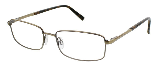 DuraHinge CLEARVISION D 20 Eyeglasses, Gold Antique