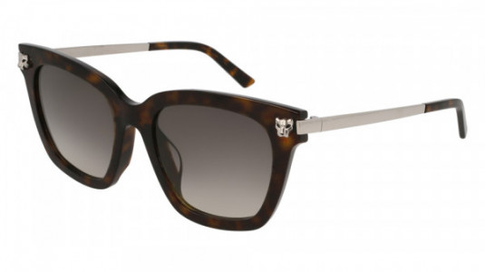 Cartier CT0025SA Sunglasses, 002 - HAVANA with SILVER temples and GREY lenses