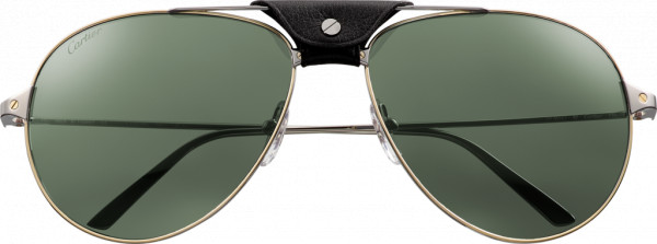 Cartier CT0038S Sunglasses