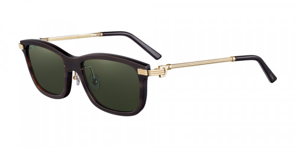 Cartier CT0051S Sunglasses, 002 - HAVANA with GOLD temples and GREEN lenses