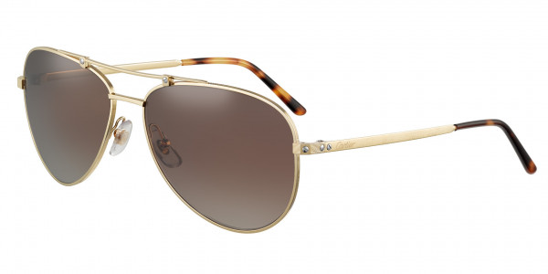 Cartier CT0083S Sunglasses, 003 - GOLD with BROWN polarized lenses