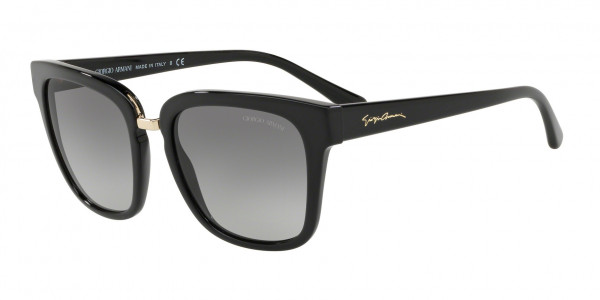 Giorgio Armani AR8106 Sunglasses