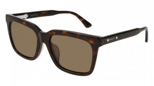 Gucci GG0267SA Sunglasses, 002 - HAVANA with BROWN lenses
