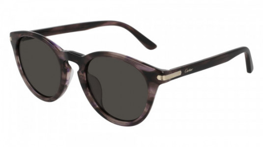 Cartier CT0010SA Sunglasses, 003 - HAVANA with GREY lenses