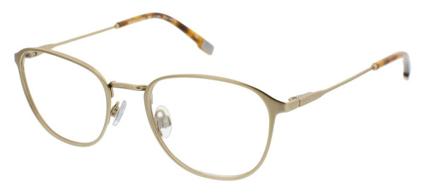 IZOD 2045 Eyeglasses, Gold Matte