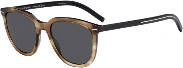 Dior Homme BLACKTIE 255S Sunglasses, 0WR9 Brown Havana