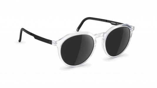 neubau Eugen Sunglasses, 1040 Crystal clear/black ink