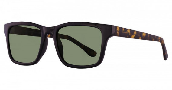 Avalon 2703 Sunglasses, Black/Matte Tokyo Tortoise