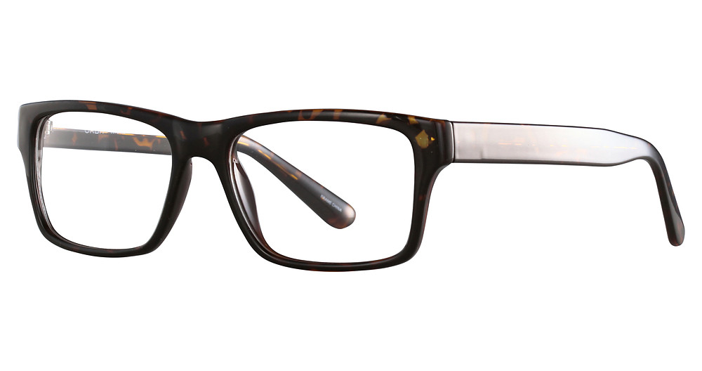 Orbit 5572 Eyeglasses