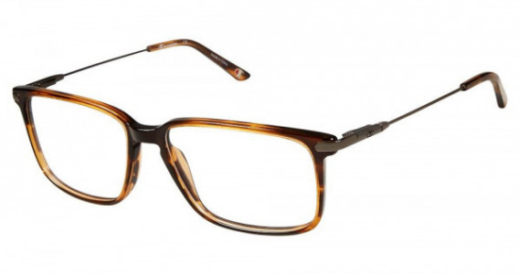 Champion 4026 Eyeglasses, C02 BROWN STRIPE