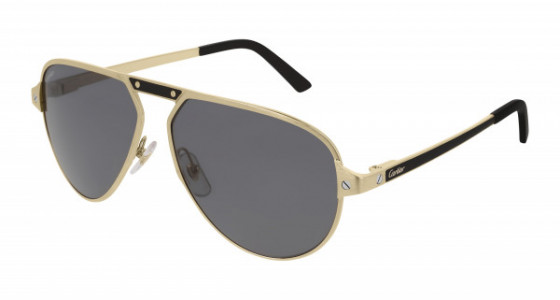 Cartier CT0101S Sunglasses