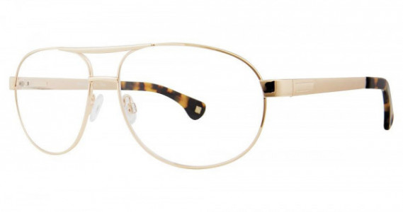 Randy Jackson Randy Jackson 1099 Eyeglasses, 057 Gold