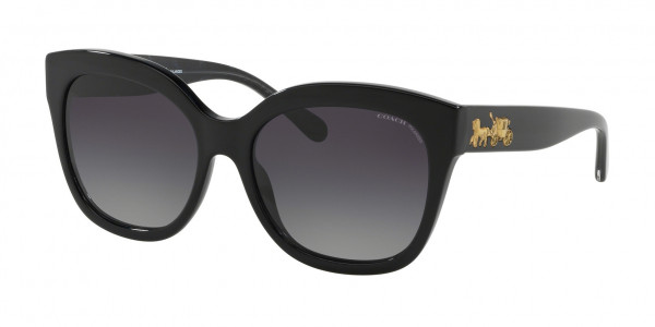 Coach HC8264 L1083 Sunglasses