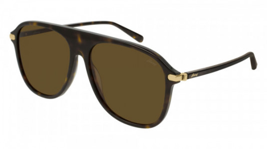 Brioni BR0048S Sunglasses, 002 - HAVANA with BROWN lenses