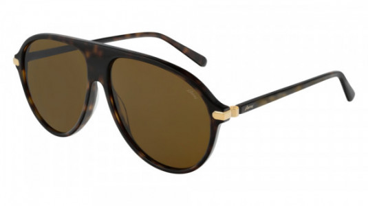 Brioni BR0059S Sunglasses, 002 - HAVANA with BROWN lenses